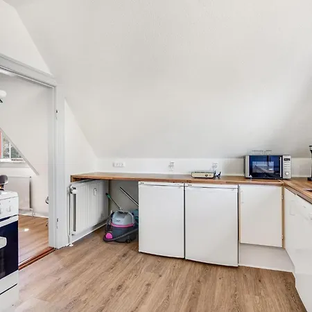 Apartment Pet Friendly In With Kitchen